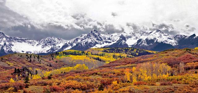 Autumn Turns Aspen Leaves Orange and Gold at Dallas Divide in the San Juan Mountains in Colorado